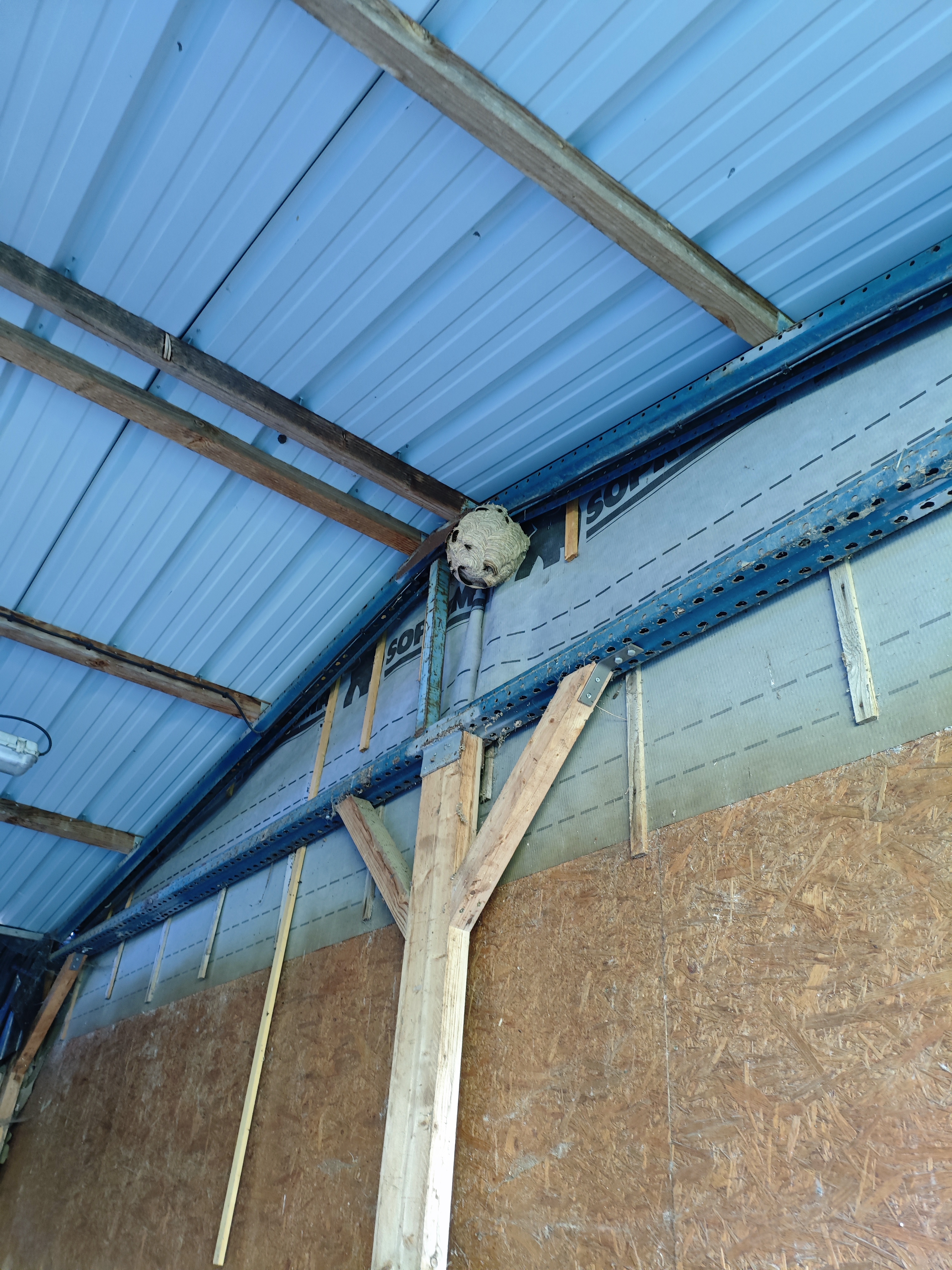 Intervention DGF76 - Perche sur toiture